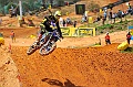 _DSC5966 (1)